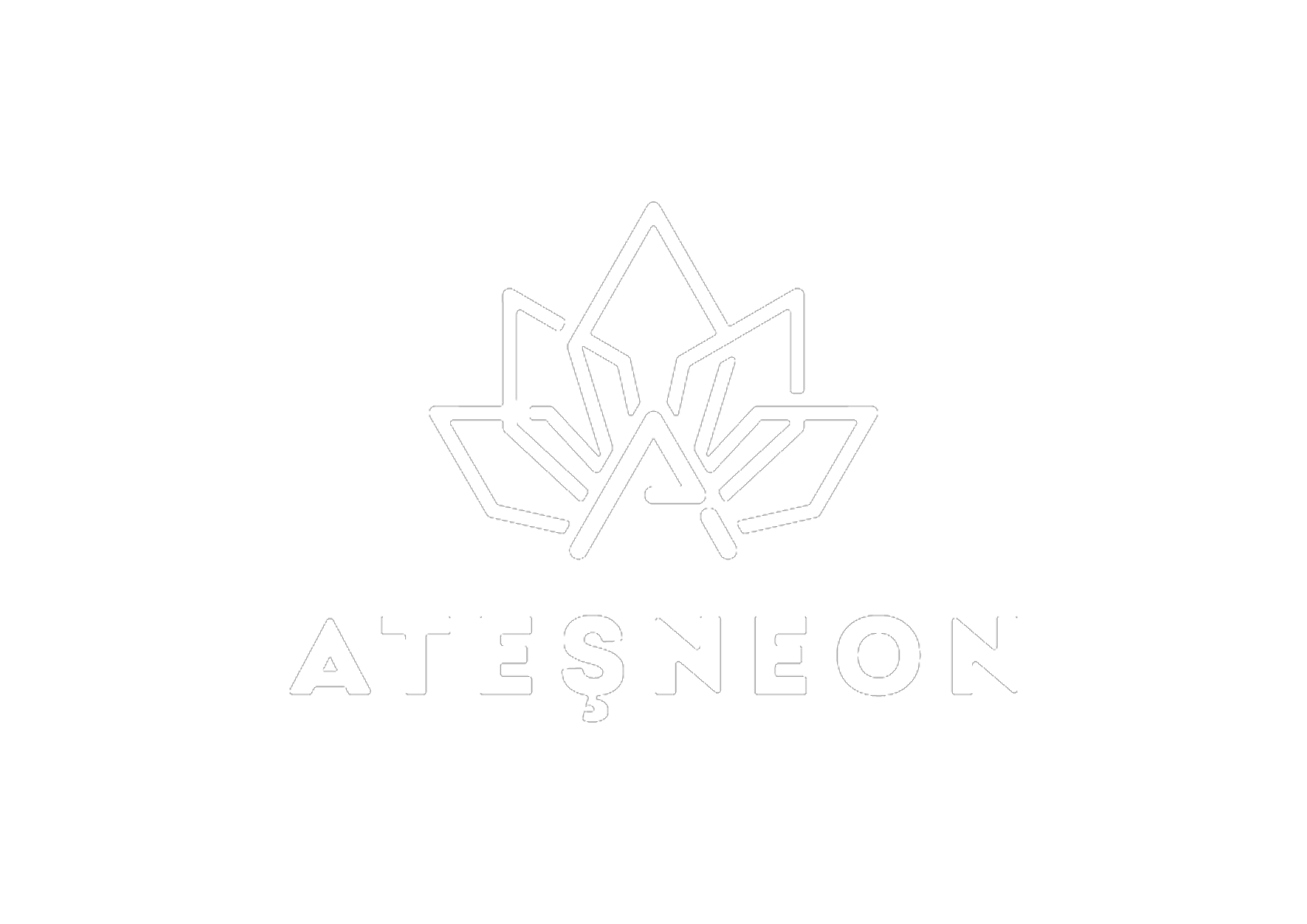 Ateş Neon